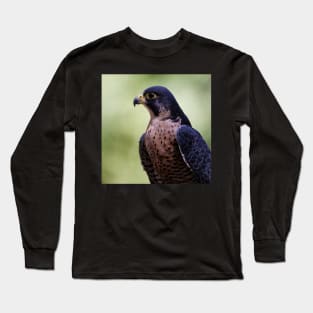 Peregrine Falcon Long Sleeve T-Shirt